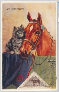 52573 - GB: LUNDY! - POSTAL HISTORY: MAXIMUM CARD - 1956 HORSE animals-