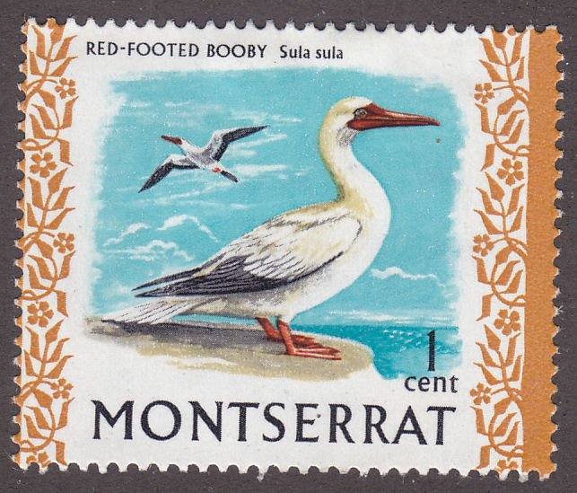Montserrat 231a Red-Footed Booby 1972