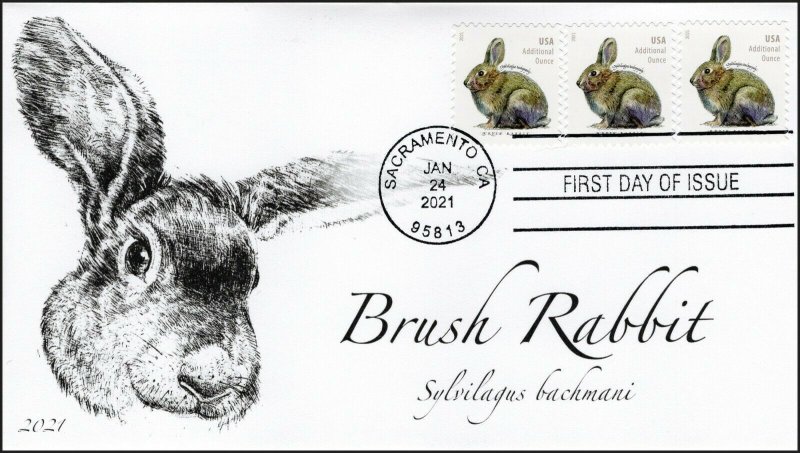 21-062, 2021,Brush Rabbit, First Day Cover, Sacramento CA, SC 5544, Booklet