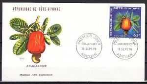 Ivory Coast, Scott cat. 413. Cashew Nut. First day covers. ^