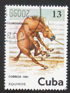 CUBA Sc# 2436 HORSES HORSES HORSES  13c  1981 used cto