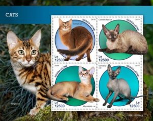 Sierra Leone - 2019 Cat Breeds - 4 Stamp Sheet - SRL190214a