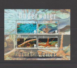 Turks & Caicos 1495a Souvenir Sheet Underwater Photo Contest Marine Life MNH