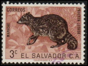 El Salvador 740 - Used - 3c Raccoon (1963)