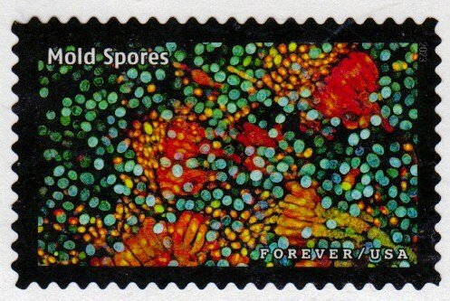 SC# 5802q - 66c - Life Magnified, Mold Spors -17 of 20 - Used Off Paper