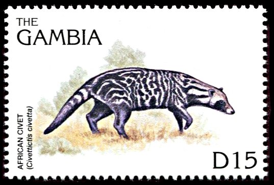 Gambia 1739, MNH, African Civet