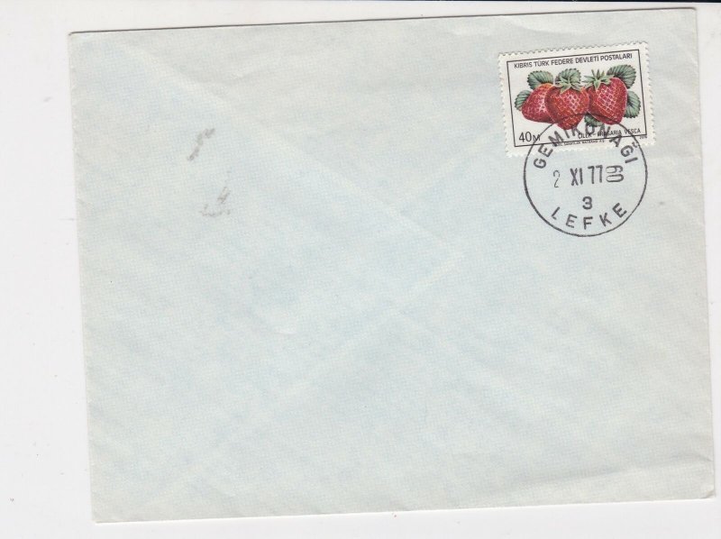 cyprus 1977 strawberrys stamps cover ref 21182