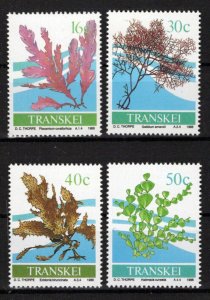 South Africa Transkei 199-202 MNH Seaweed Marine Life Plants ZAYIX 0424S0096M