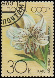 Russia 5760 - Cto - 30k White Tiger Lily (1989) (cv $0.80)