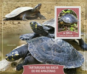 Sao Tome & Principe 2021 MNH Amazon Basin Turtles Stamps Wood Turtle 1v S/S 