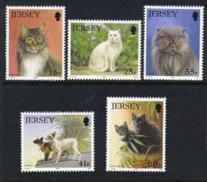 Jersey #661-5 mint cats, issued 1994