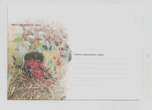 2020 war in Ukraine envelope They gave birth to cherries. Helmet. Bullet casings