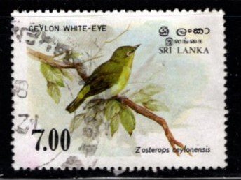 Sri Lanka #877 Ceylon White Eye - Used