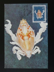 marine life maximum card New Caledonia 1990