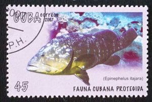 CUBA Sc# 4767   ENDANGERED MARINE LIFE - FISH Protected  45c    2007  used cto