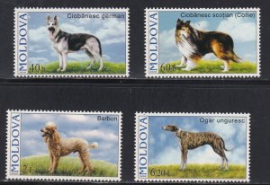 Moldova # 539-542, Dogs, NH, 1/2 Cat.