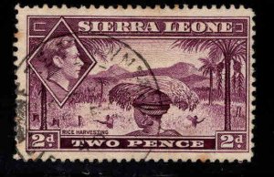 Sierra Leone Scott 176 Used stamp