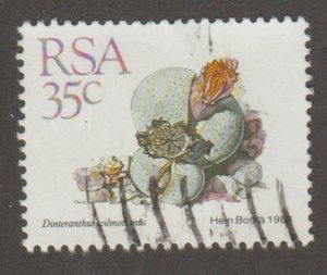 RSA 746 succulent