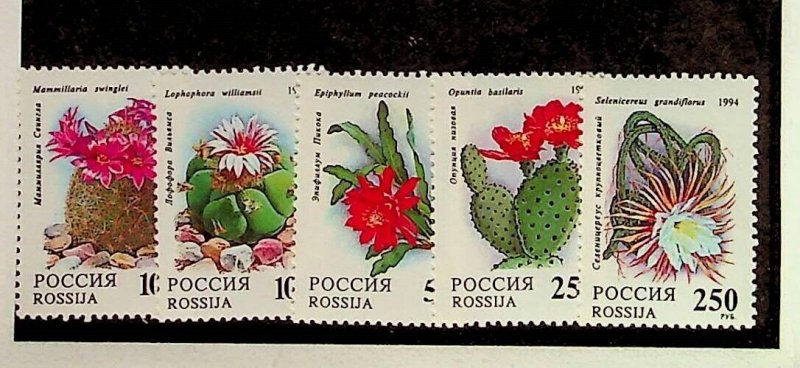 RUSSIA Sc 6196-6200+6197a+6198a NH SET+2M/S OF 1994 - FLOWERS - (AF24)