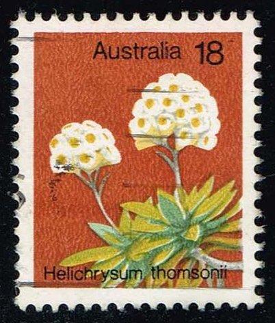 Australia #564 Helichrysum Thomsonii; Used (0.25)