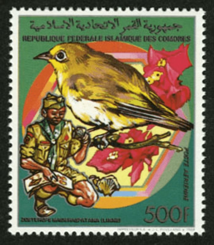 Comoros 1989 Imperf. Scouting: Butterflies And Birds Full N° 878-883 Bl 286-29