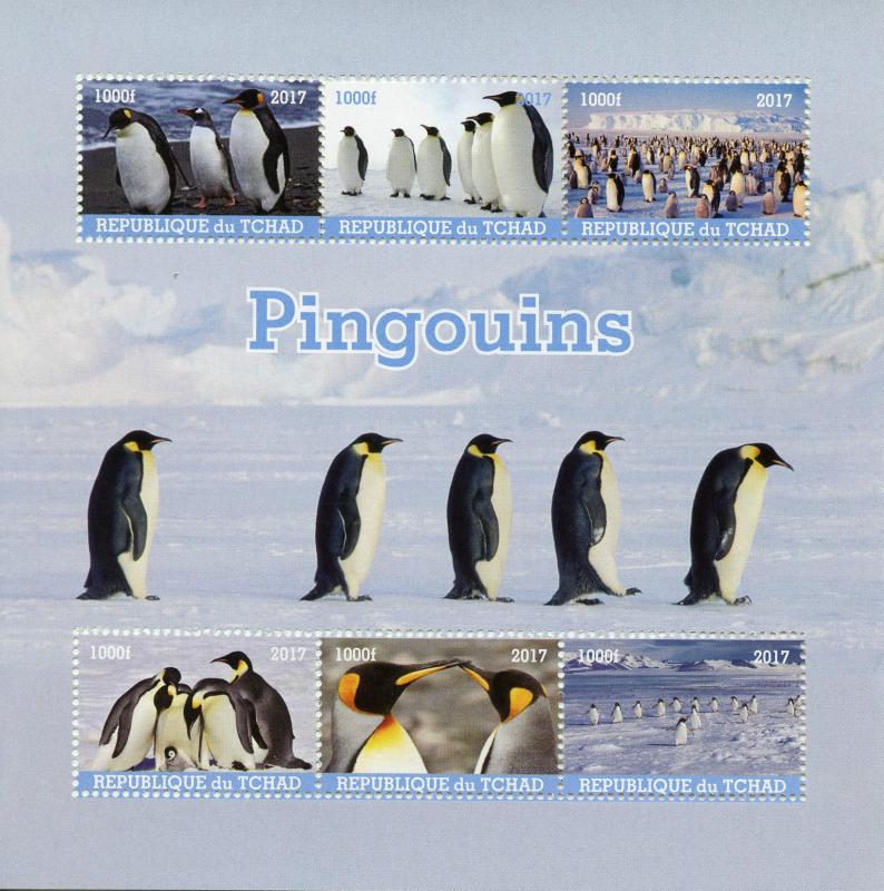 Chad Birds on Stamps 2017 MNH Penguins Penguin 6v M/S 