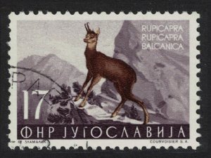 Yugoslavia Chamois Wild Animal 1954 Canc SG#769 MI#742