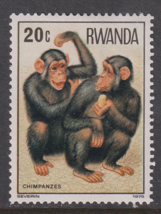 Rwanda 857 Chimpanzees 1978