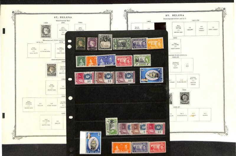 St. Helena Stamp Collection on 20 Scott Specialty Pages 1856-1971 (BA)