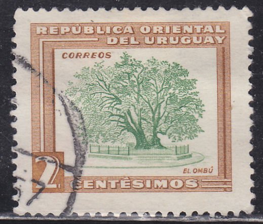 Uruguay 607 Ombu Tree 1954