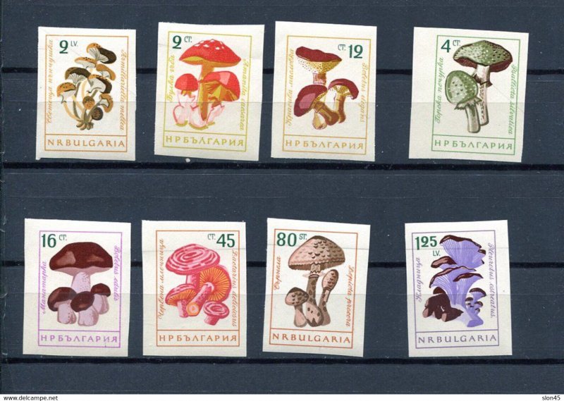 Bulgaria 1961 Mushrooms Imperf Full set MNH some with preprinted  fold 13120 