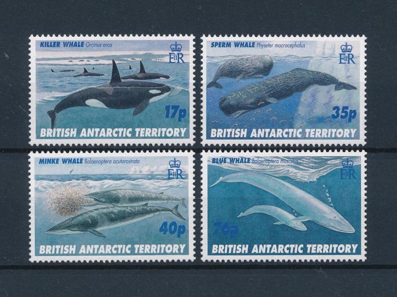 [47380] British Antarctic Territory 1996 Marine life Whales MNH