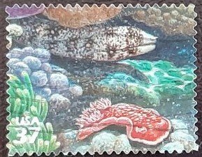 US Scott # 3831g; used 37c Coral Reef issue from 2004; VF centering; off paper