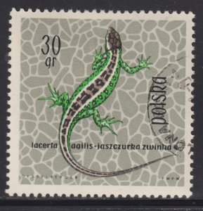 Poland 1134 Sand Lizard 1963