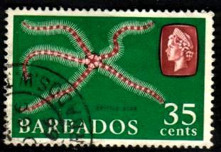 Marine Life, Brittle Star, Barbados stamp SC#277 used