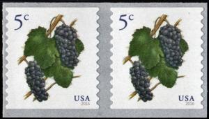 SC#5038 5¢ Grapes Coil Pair (2016) SA