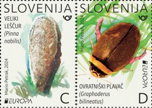 Slovenia 2024 MNH Stamps Europa CEPT Marine Life Insects Shells