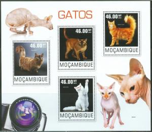 MOZAMBIQUE  2014  CATS  SHEET   MINT NH