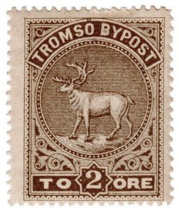 (I.B) Norway Local Post : Tromso 2 Øre