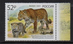 RUSSIA - 2021 - EUROPA - ENDANGERED WILDLIFE - PERSIAN LEOPARD -