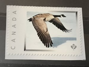 Canada Post Picture Postage Mint NH *Canada Goose*  *P* denomination