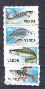 Venda 1987 Fish, MNH     G.142