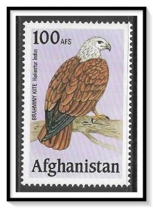 Afghanistan Brahiminy Kite Birds Of Prey MH