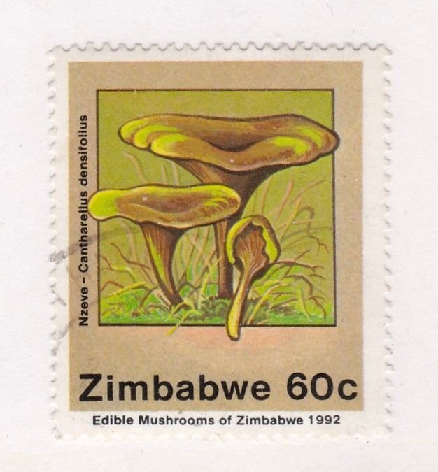 Zimbabwe       661              used