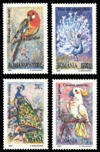 Romania 1999 Birds Scott #4294-4297 Mint Never Hinged