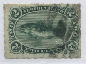 Newfoundland QV 1879 2 cent green used