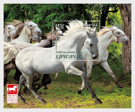 2018 Croatia Lipizzan Horse Breeds  SS   (Scott 1091) MNH