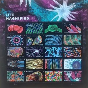 Life Magnified Forever Stamps 5 sheets of 20PCS, total 100pcs