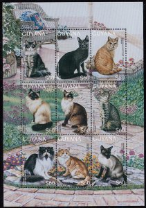 Guyana 1996 MNH Sc #3103 Domestic Cats