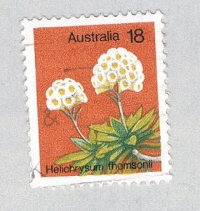 Australia Flower 18 1 (AP132814)